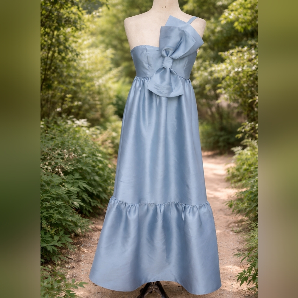 Petal & Pup Blue Maxi Dress size small or large